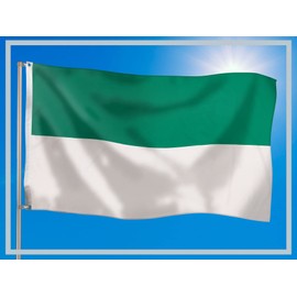 PHENO FLAGS Shooting Festival Flag 90 x 150 cm with Brass Eyelets Weatherproof Flag for Flagpole 100% Polyester, White Green Flag