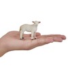 MOJO Romney Sheep Lamb Standing Farmlife Farmland Wildlife Animal Model