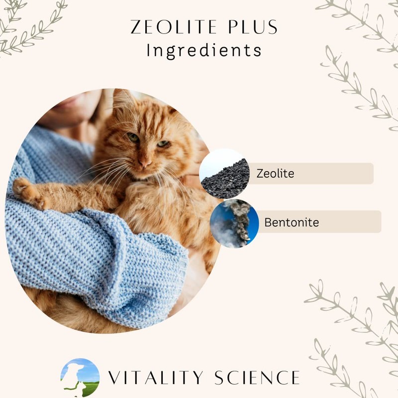 Vitality Science Zeolite Plus for Cats | Immune Support |