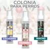 Fancy Pets Colonia Premium para Hembra - Sunset, 140 ml