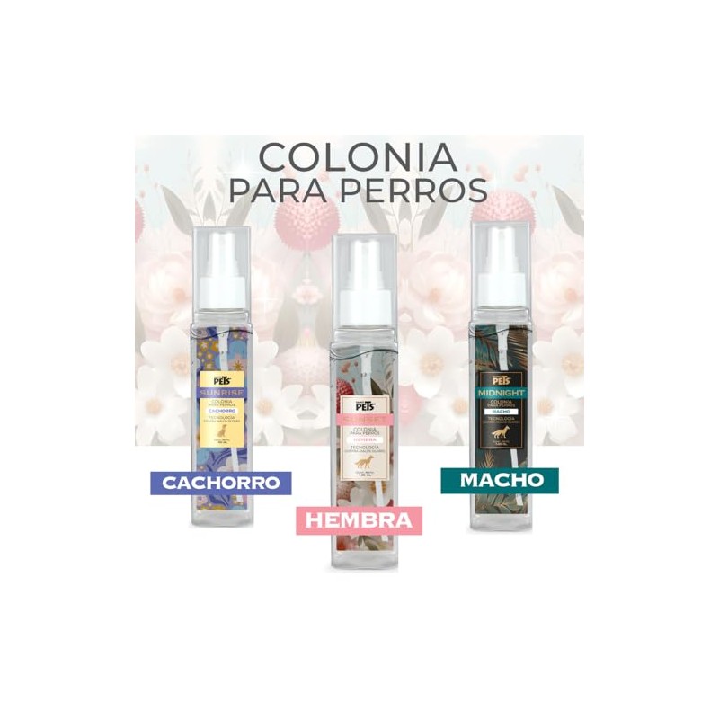 Fancy Pets Colonia Premium para Hembra - Sunset, 140 ml