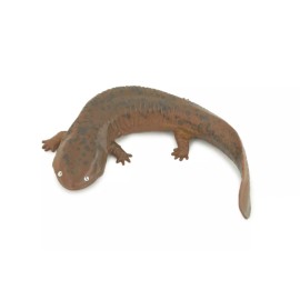 Collectible Wildlife Gifts Giant Salamander Toy Model, Hand Painted Rubber Realistic 4 Inches CH857 BB198