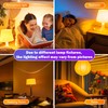 DALUXshop Amber Sleep Light Bulbs, Blue Light Blocking, A19 9W(60