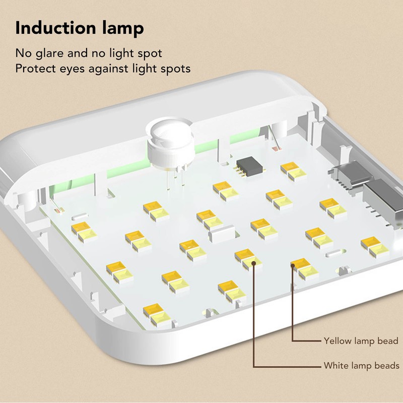 Motion Sensor Dimmable Night Light Two Colors Bedside Induction Lamp