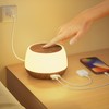 Bedside Lamp Touch Dimmable with 20 W Charging Function, LED