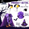 Sunnymove Halloween Witch Porch Goose Outfit with Glitter Witch Hat