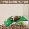 Basking Dock for Aquatic Turtles, Pet Turtle Tank Basking Land,
