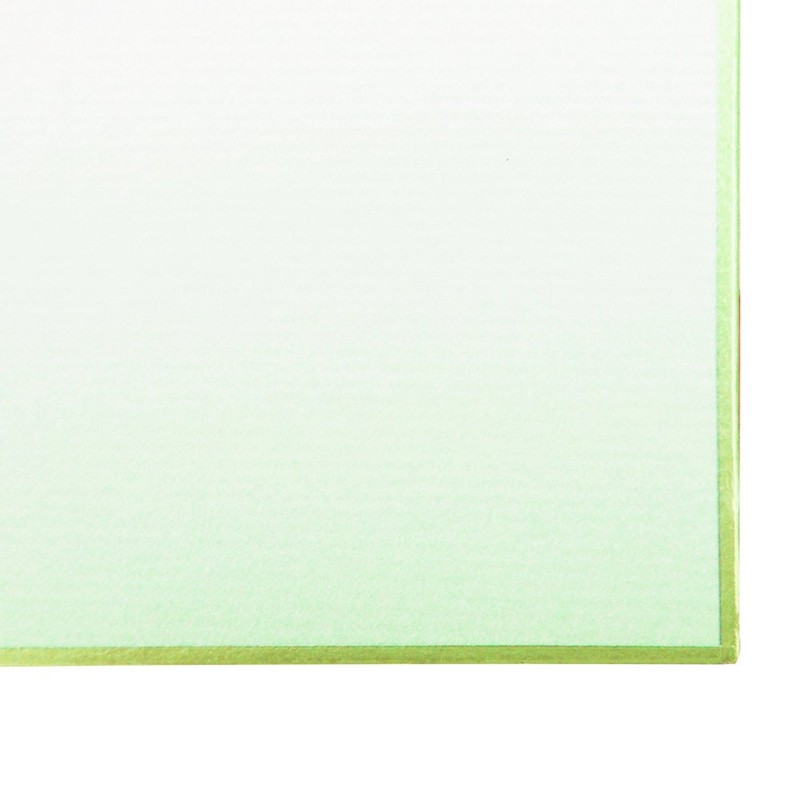Ehime Shishi N-EBS-G4S Shikishi Bokashi Green 9.5 x 10.7 inches