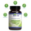 UVSambaia | High Dose | by Nature Power | 60