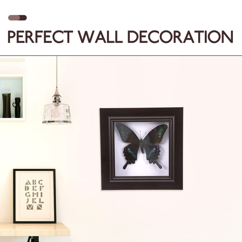 Housoutil Butterfly Specimens in Shadow Box Blue Morpho Butterfly Framed