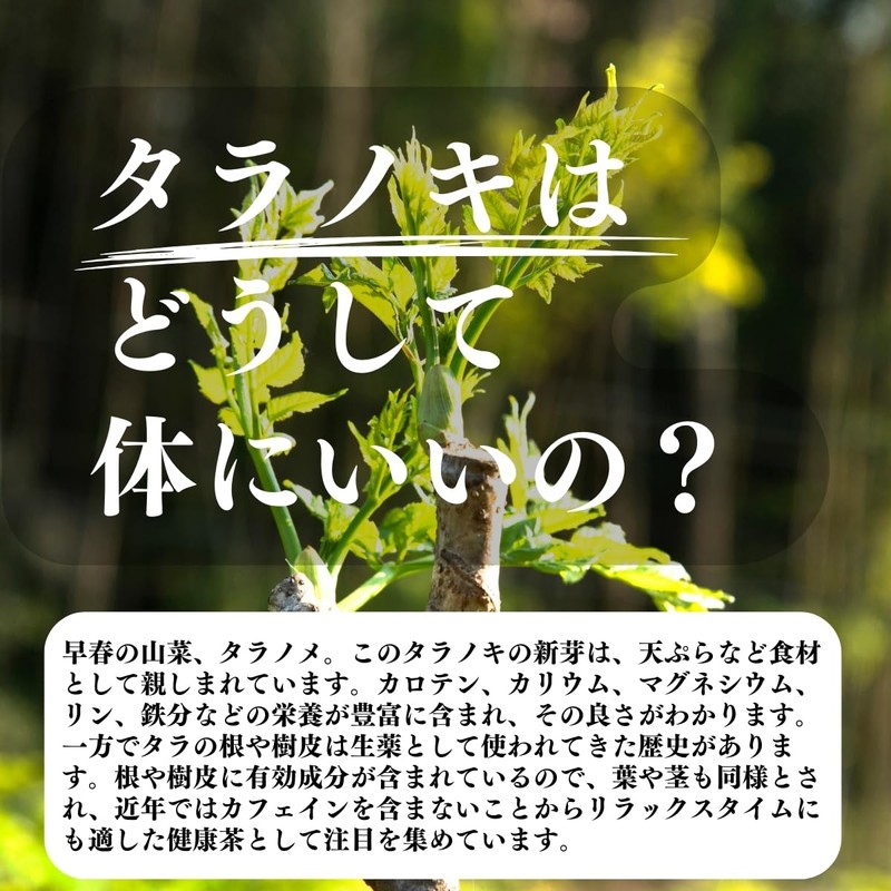 Shizen Health Co. Taranoki Tea Pack of 30 Cod Wood