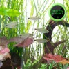 Digital Aquarium Thermometer, Mini Electronic LCD Thermometer, Waterproof Aquarium Temperature