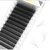 Blister 3d W Curvatura L Y Lu