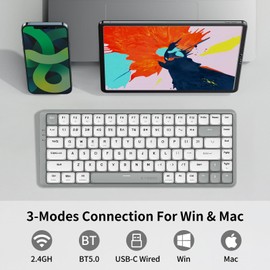 E-YOOSO HUO JI 84 Keys Ultra-Slim Wireless Bluetooth/USB Wired Mechanical Keyboard with White LED Backlit, Low-Profile G Mechanical Red Switch Compatible with Mac Windows