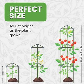 K-Brands Tomato Cage Sturdy - Large Trellis Stakes and Plant Support Structures for Vegetables and Climbing Plants - Tall Tomato Cages for Garden, Pots, Raised Garden Bed Outdoor Supplies (3 Pack - Up to 48")