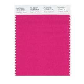 PANTONE Smart 18-2043X Color Swatch Card, Raspberry Sorbet