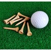 Adhere 60pcs Golf Tees Short Tees Birch Wood Tees Short