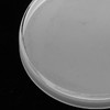 Watch Glass Sapphire Crystal Lens Calendar Window Magnification Transparent Rounded
