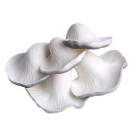 DEARMAMY False Straw Mushroom Decorative Fake Mushroom Simulated Mushroom Decor Interesting Mushroom Model Interesting Fake Mushroom Small Mushroom Decor Micro MushroomAccessory