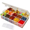 LAifu Snack Box with Compartments Large - Snackle Box Container