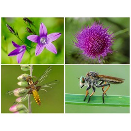 55 mm +2 Close-Up Filter Macro Lens Close Up Closeup Closeup 55 mm Dioptres