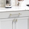 Coinkoly 10 Pack Gold and Brushed Nickel Cabinet Pulls 5"(128mm)