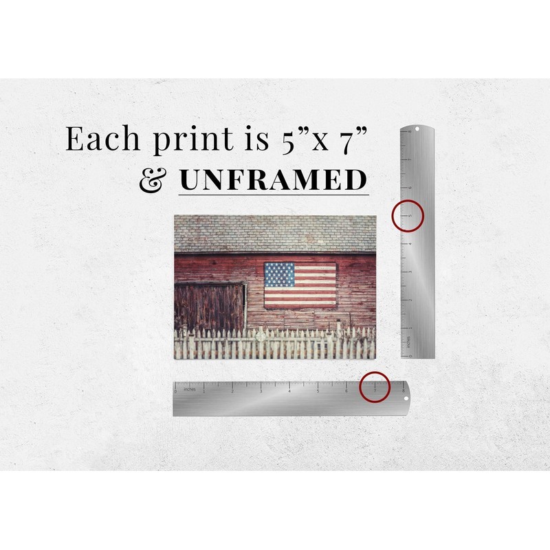 Lisa Russo Fine Art - Patriotic Farmhouse American Flag Barn