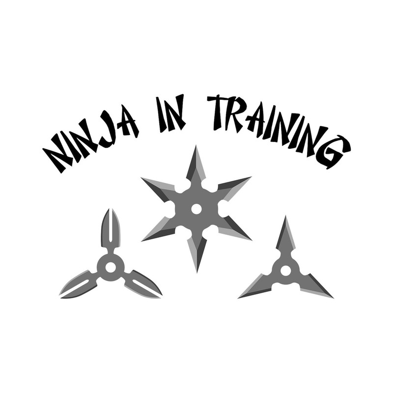 CafePress Ninja Training Magnets Rectangle Magnet, 3"x2" Refrigerator Magnet