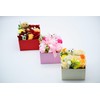 Bubble Flower Bear Box, Soap Flower Arrangement, Bear Plush, Rose,