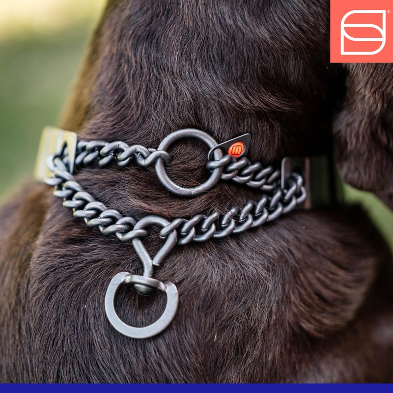Herm. Sprenger NeckTech Fun Dog Training Collar with Quick Release