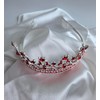 ALRBE TIN Retirement Sash and Crown Kit Retirement Party Supplies