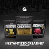 Gains in Bulk Instantized Creatine Monohydrate for Women and Men,