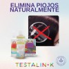 Kit Elimina Piojos, Shampoo, Lendrera, Repelente, Testalin-k