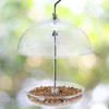 Clear Domed Platform Bird Feeder