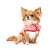 FuzzYard Hey There Sweetie Dog Wrap Vest (3)