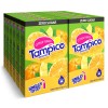 SINGLES TO GO! Tampico Citrus Punch Singles To Go Drink