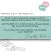 Dragonfly Products Worm Count Test Kit for Dogs and Cats