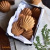 CHEFMADE Madeleine - Molde para tartas (12 cavidades, antiadherente, para