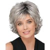 Fluffy Gray Women's Wig with Bangs - Heat-resistant Fiber Natural