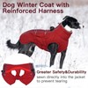 IKIPUKO Dog Coat - XS, Warm Zip Up Snowsuit Dog