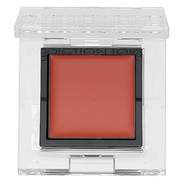 Addiction ADDICTION The Eye Shadow Tint 1g 005T Hidden