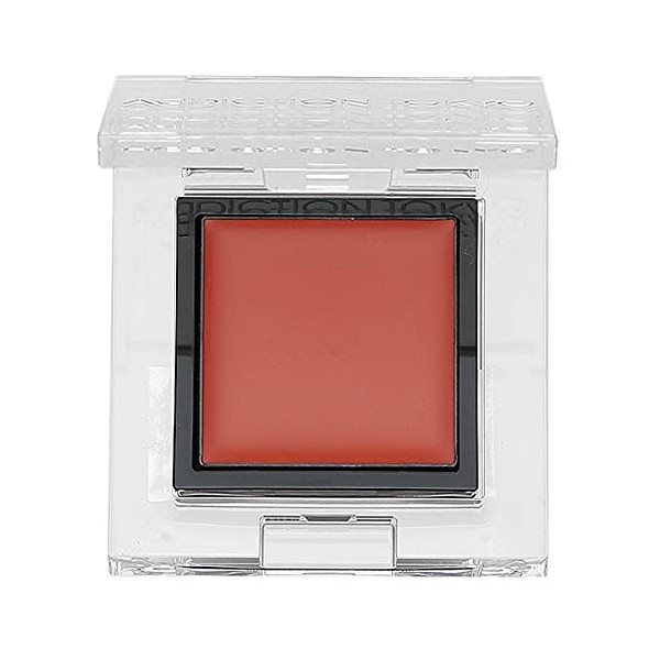 Addiction ADDICTION The Eye Shadow Tint 1g 005T Hidden