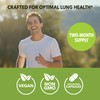 Mullein Leaf Capsules for Respiratory Health - 5000mg Extract 10:1