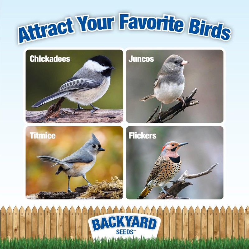 CountryMax Sunflower Chips Shelled No Waste Bird Seed (10 Pounds)