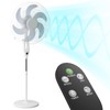 mollie Oscillating Pedestal Fan with Remote Control 12H Timer Portable