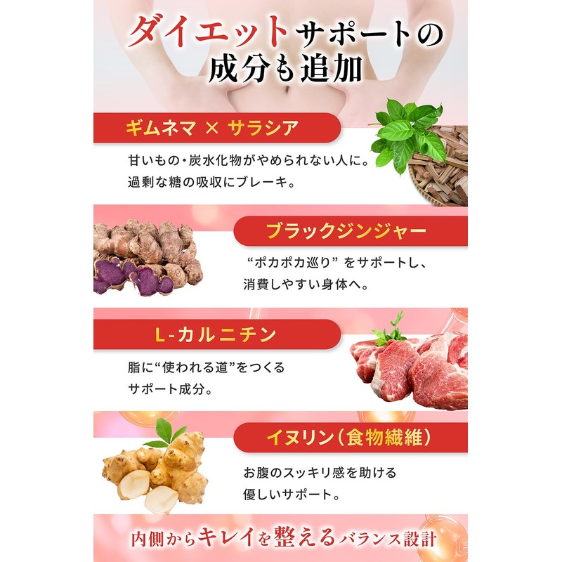 health＋ エラグ酸 高配合 3900mg ザクロ ポリフェノール サラシア イヌリン ブラックジンジャー サプリメント