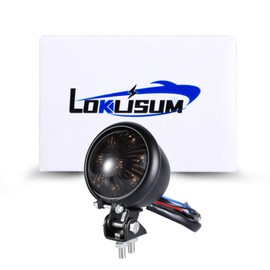 LOKLISUM 8 LED Mini Motorcycle Tail Light Brake Tail Light Universal for Street Bike Chopper Bobber Cafe Racer Cruiser CB1300 883 Iron