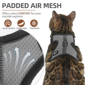 PUPTECK Cat Harness and Leash Set Escape Proof, Reflective Adjustable Soft Mesh Kitten Vest Harness for Walking Travel, Grey, M