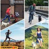 PawComfort Dog Leash Hands Free – Reflective Bungee Cord with
