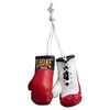 LEONE 1947 Ac911 Mittens For Car red red Size:One Size